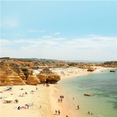 ag真人平台官方手机app下载