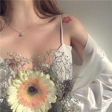 雅博app官网下载